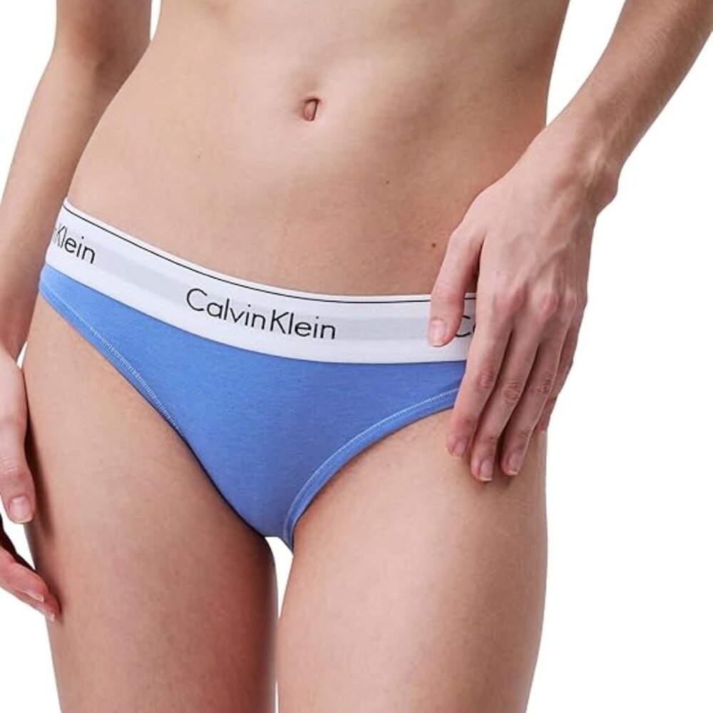 Calvin Klein Modern Cotton Stretch Bikini Panty Women's Underwear Glacier S F378